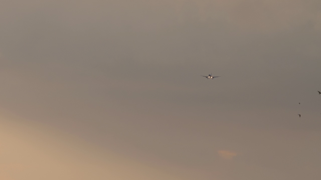 飞机在夕阳的天空视频素材