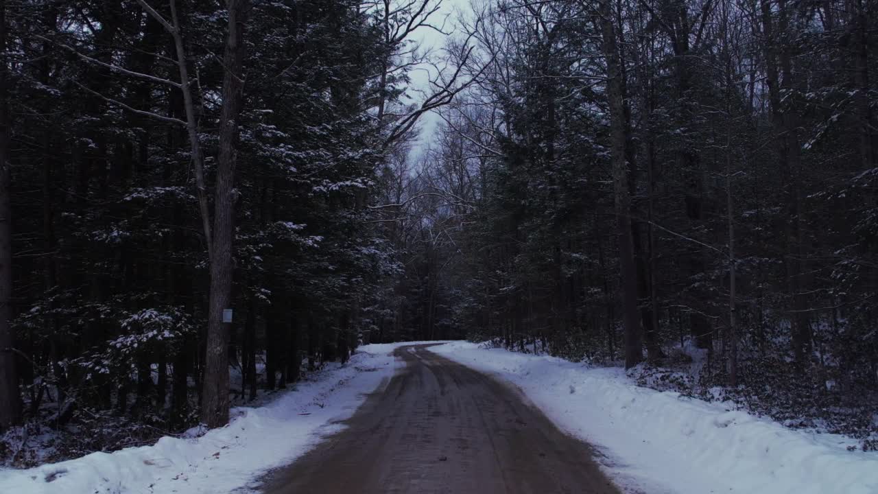 美丽的隔离土路穿过一个下雪，美丽的森林视频素材