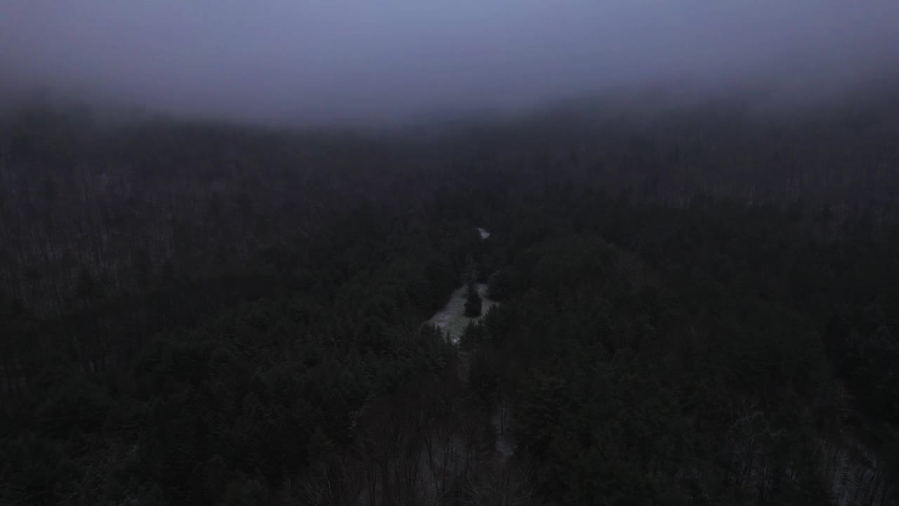 无人机拍摄到美丽的阿巴拉契亚山脉的雪雾之夜视频素材