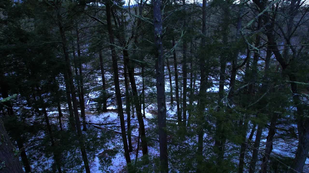 光滑的，低角度无人机拍摄的美丽的雪林视频素材