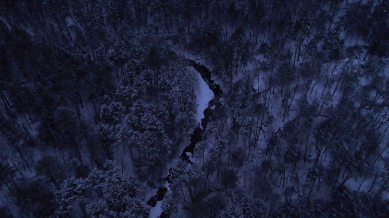 从上到下的无人机拍摄的美丽的雪林道路视频素材