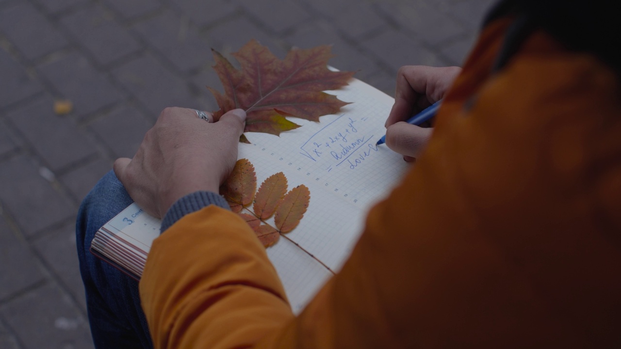 特写坐在秋日公园长椅上的女人的手。她用钢笔写公式，用黄橡树叶做书签，合上笔记本。����������- 9月视频下载