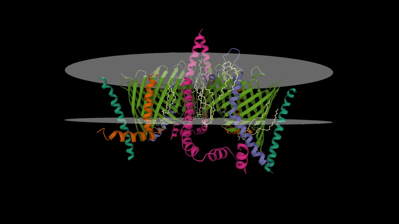 人线粒体外膜转位酶(TOM)复合物的结构视频下载