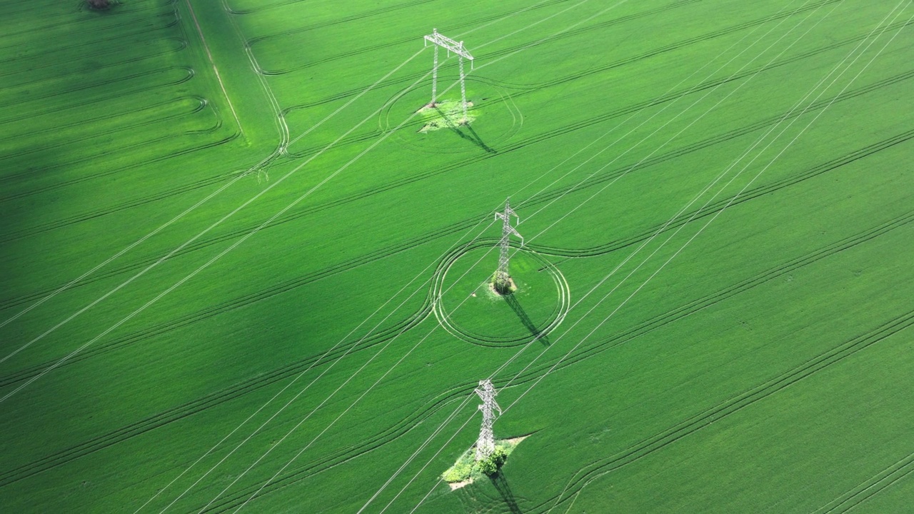 鸟瞰绿色麦田中的电线杆。可再生能源。视频素材