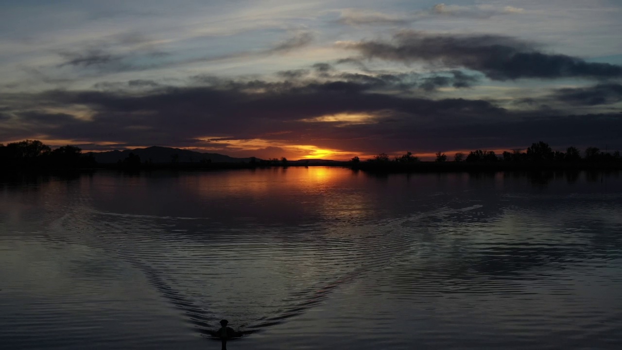 无人机跟踪水鸟游向相机在湖面上的日落视频素材