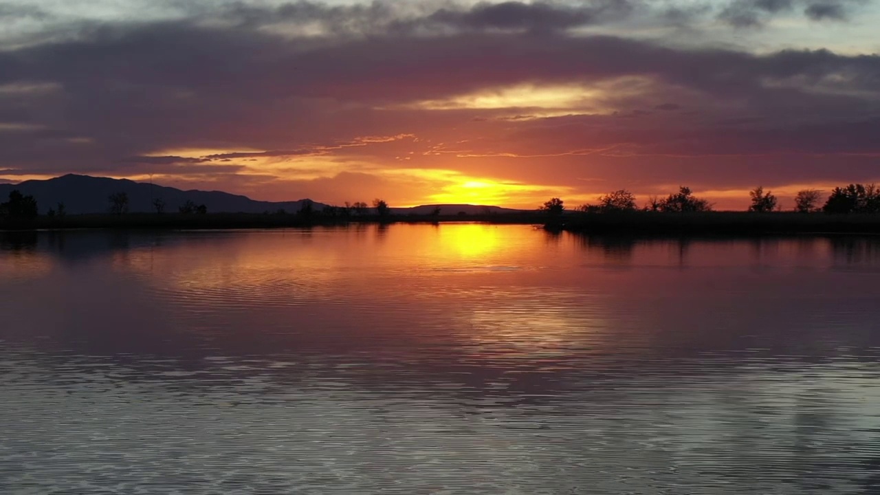 日落的湖，多云的日落倒映在水面上，一条鱼跳出水面视频素材