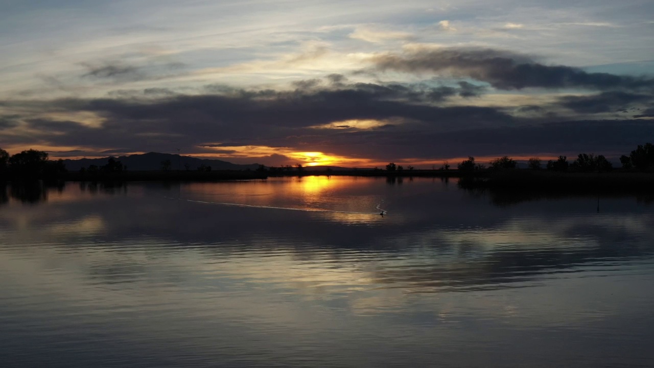 无人机在湖面上空与水鸟在水上游泳朝着相机在日落视频素材