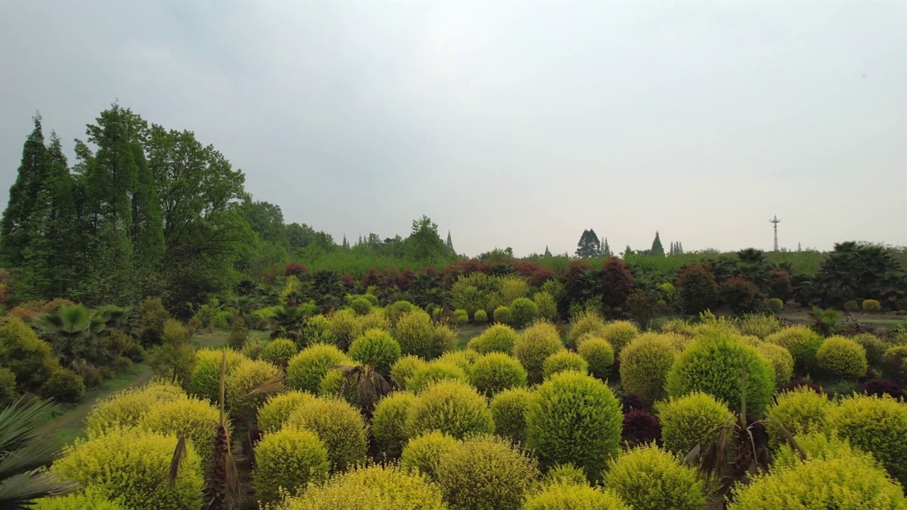 无人机拍摄的典型中国园林视频下载