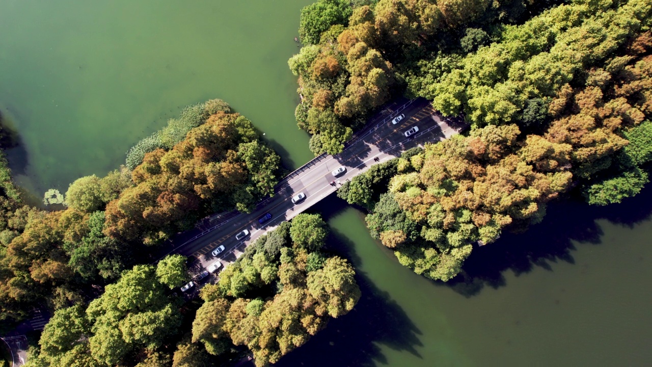 通过湖泊和树木区域的道路鸟瞰图视频下载