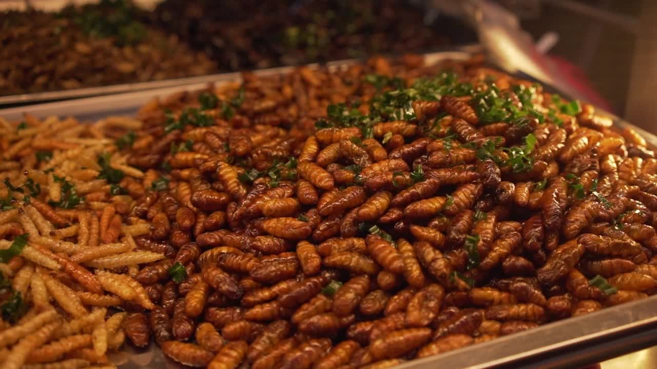泰国的炸昆虫街头小吃视频素材
