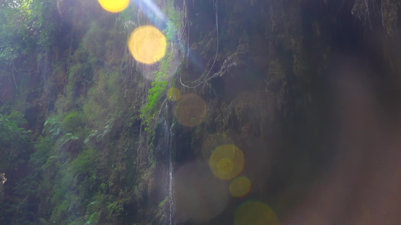 森林瀑布倾斜慢动作视频素材