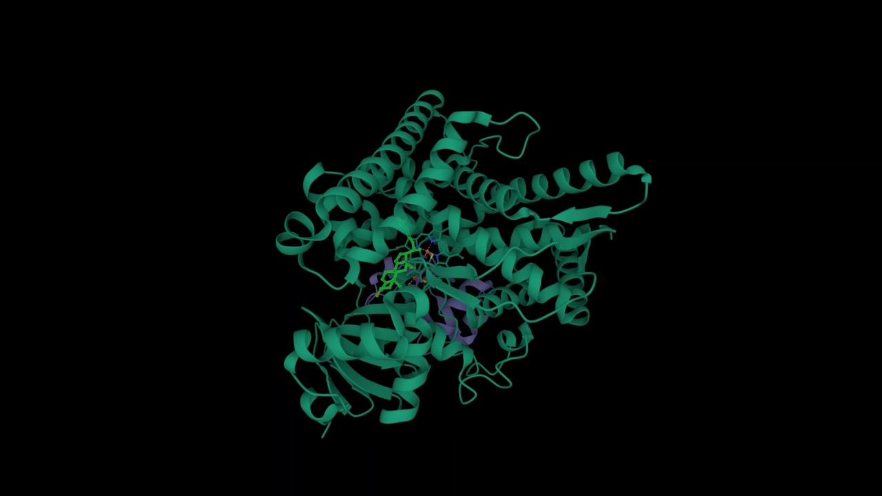 人CYP11A1与肾上腺素还蛋白(紫色)和胆固醇(亮绿色)的复合物。视频下载