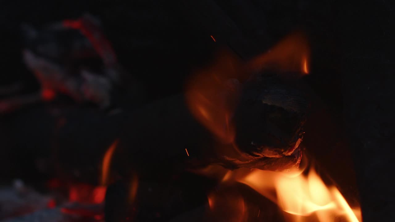 烧木头和烧煤火视频素材