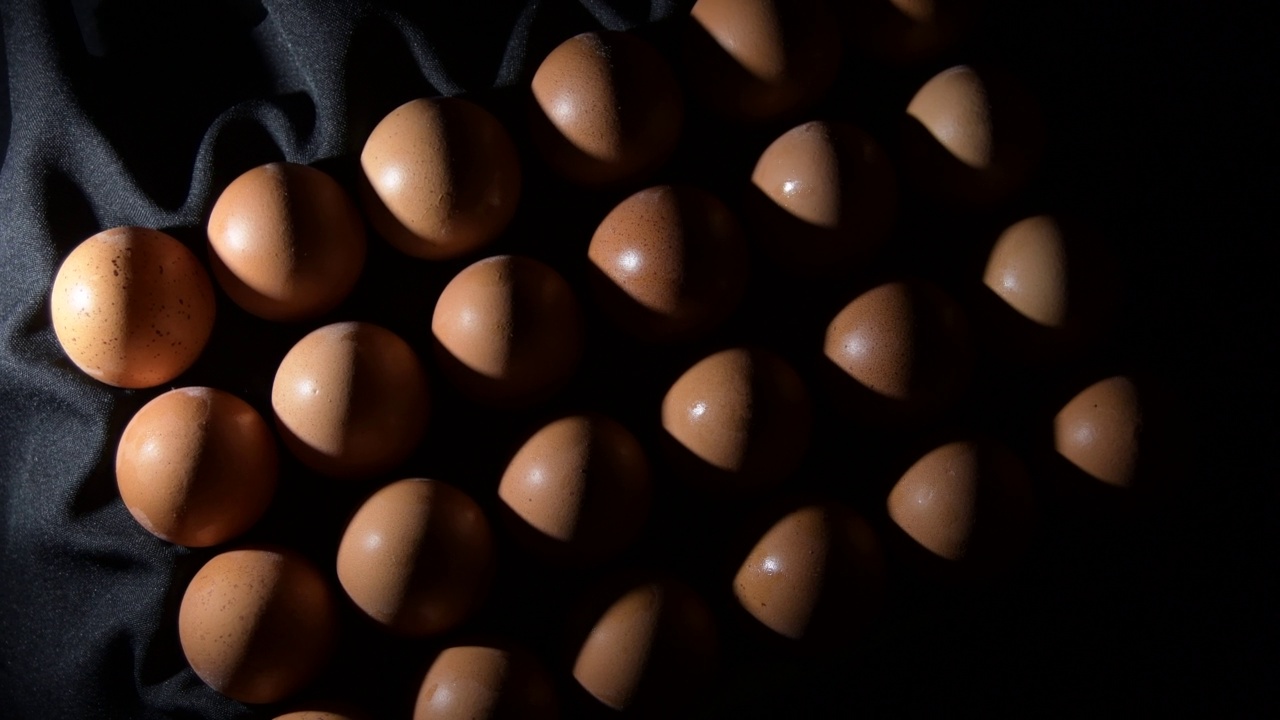 棕色的鸡蛋排成一排，在亲密的光线下旋转视频下载
