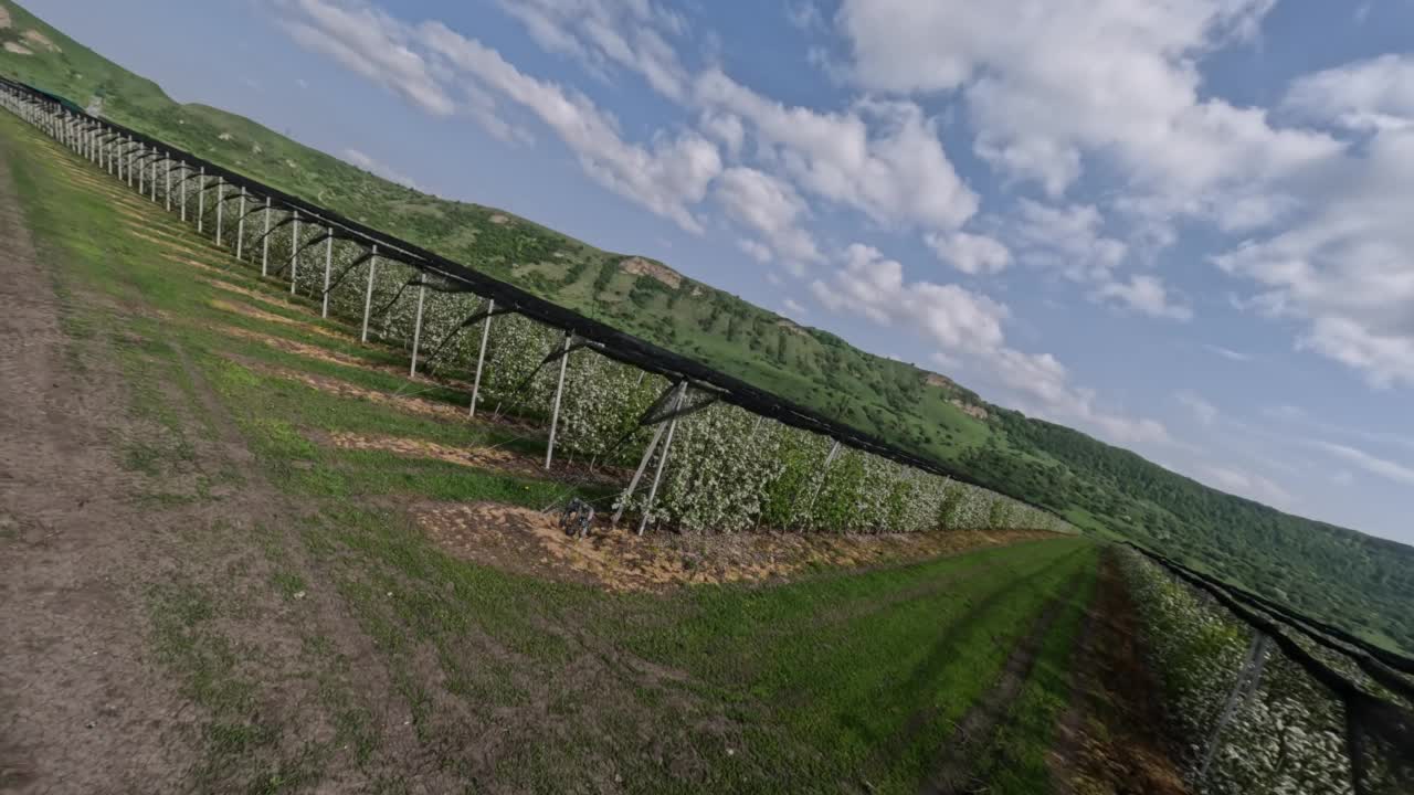 鸟瞰飞行运动之间的苹果树种植一排排包围史诗般的天空自然山谷视频素材