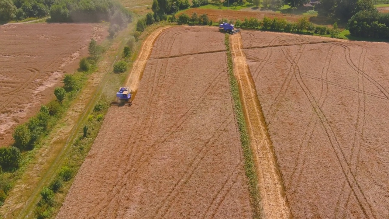 联合收割机，收获金黄成熟小麦的农业机械。农业的鸟瞰图。视频素材