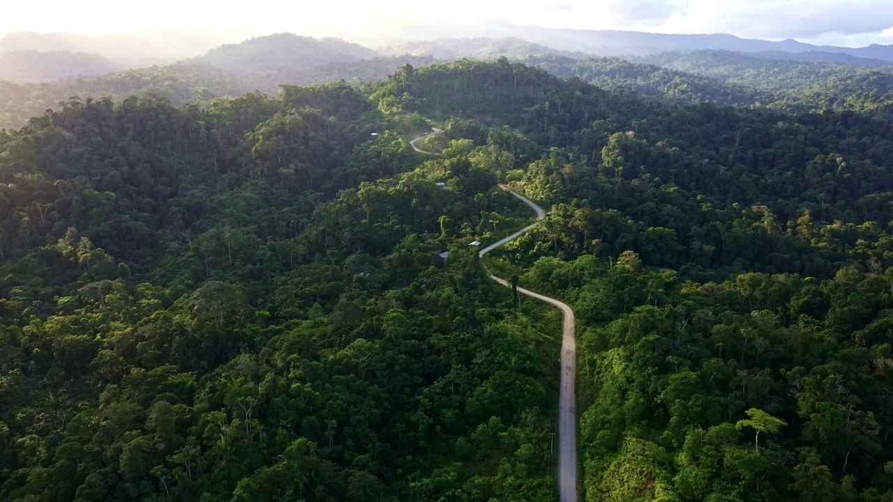 一条通往亚马逊森林的土路视频素材