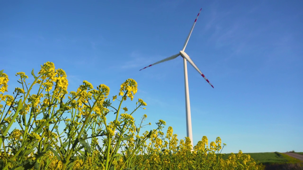 令人惊叹的农业景观，盛开的黄色油菜籽田，旋转的风力涡轮机生产可再生能源视频素材