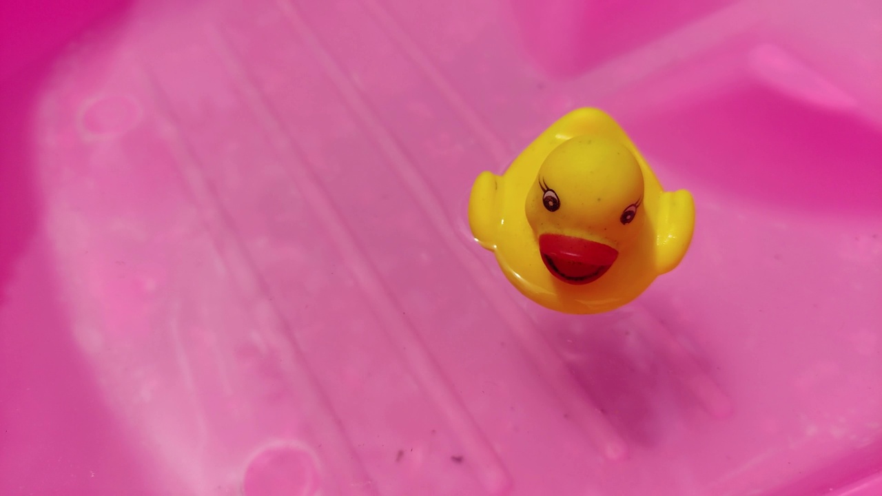 黄色的鸭子玩具在粉红色的塑料婴儿浴缸视频下载
