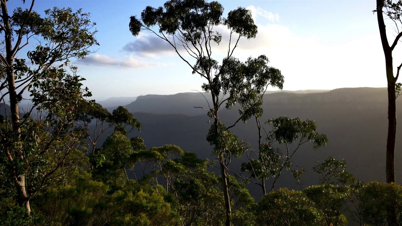 蓝山，新南威尔士，澳大利亚视频下载