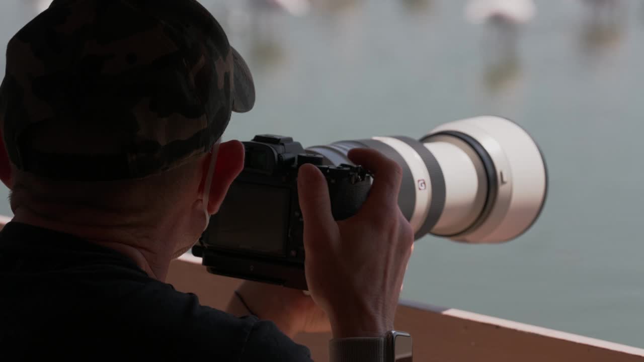 摄影师在迪拜拉斯霍尔野生动物保护区拍摄大火烈鸟视频下载