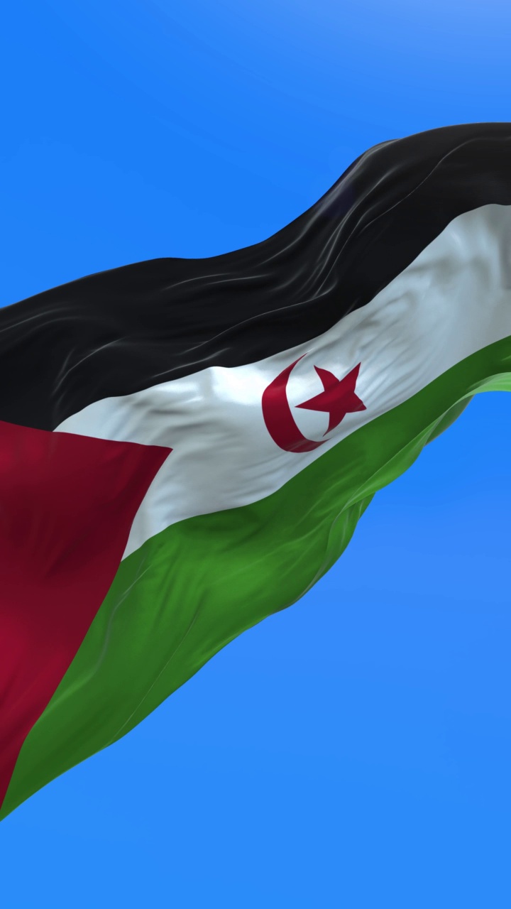 西撒哈拉旗帜-三维逼真的旗帜背景视频下载