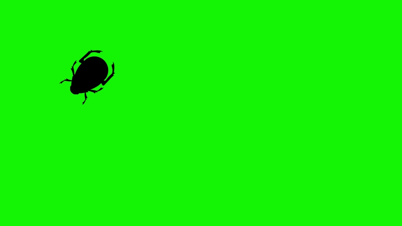 绿屏色度键上的Bug行走动画视频素材