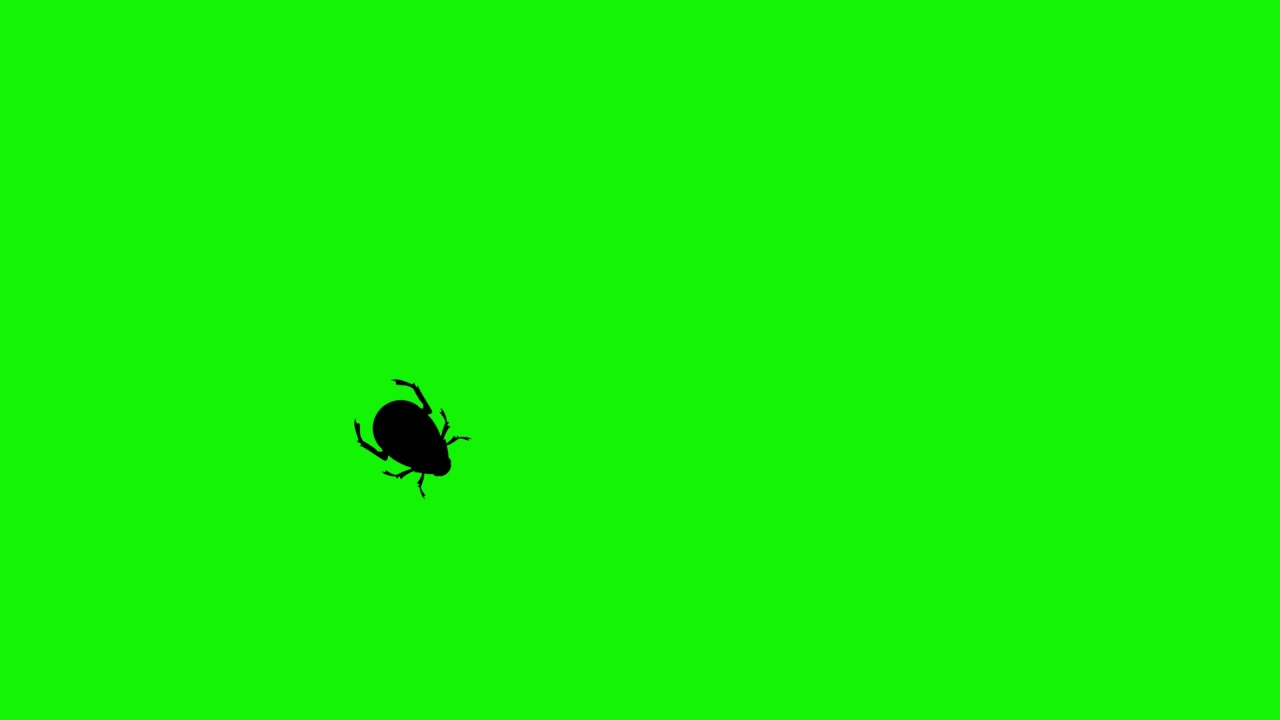 绿屏色度键上的Bug行走动画视频素材