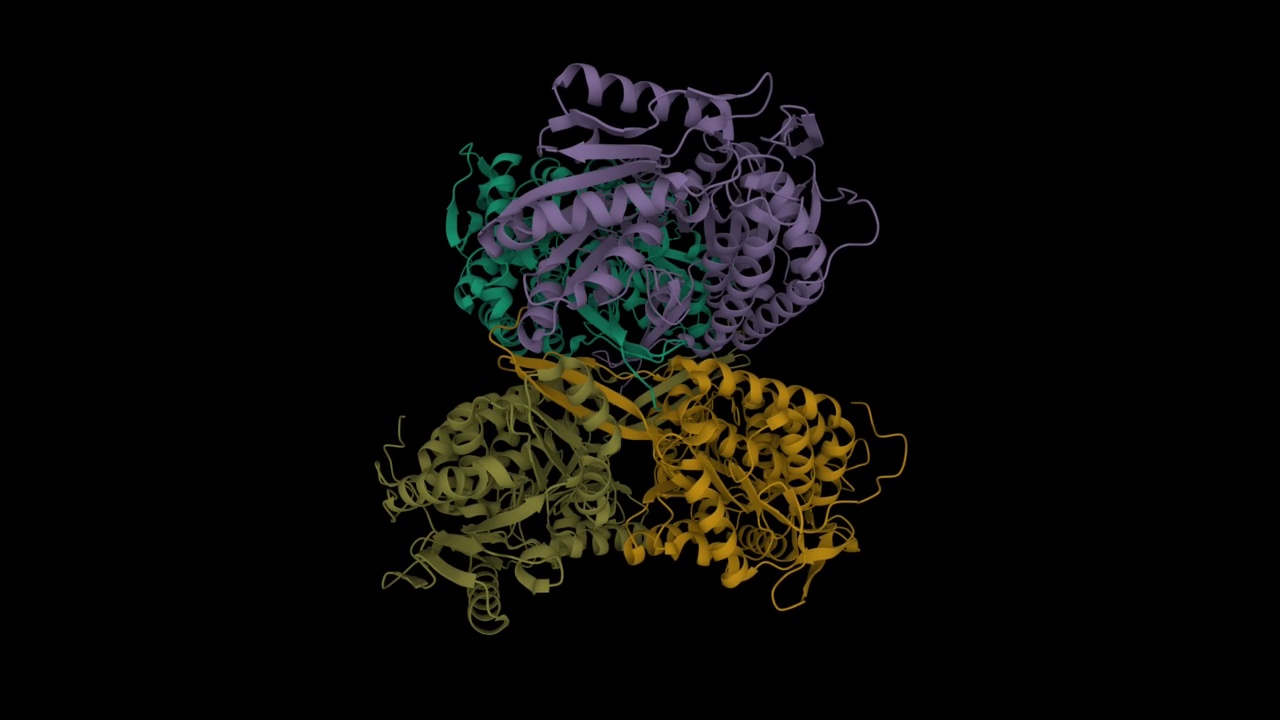 人载脂蛋白醛脱氢酶(ALDH1A1)的结构视频素材