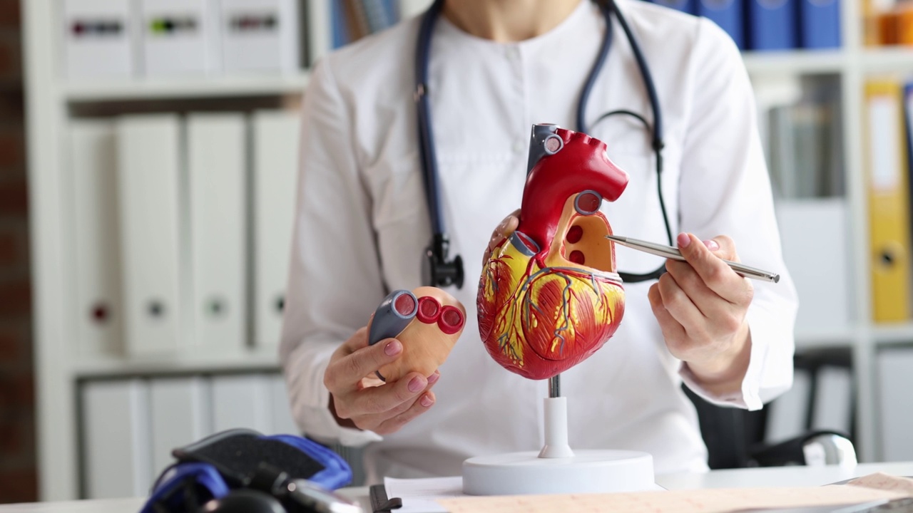 心脏科医生在心脏科诊所展示心脏解剖视频素材