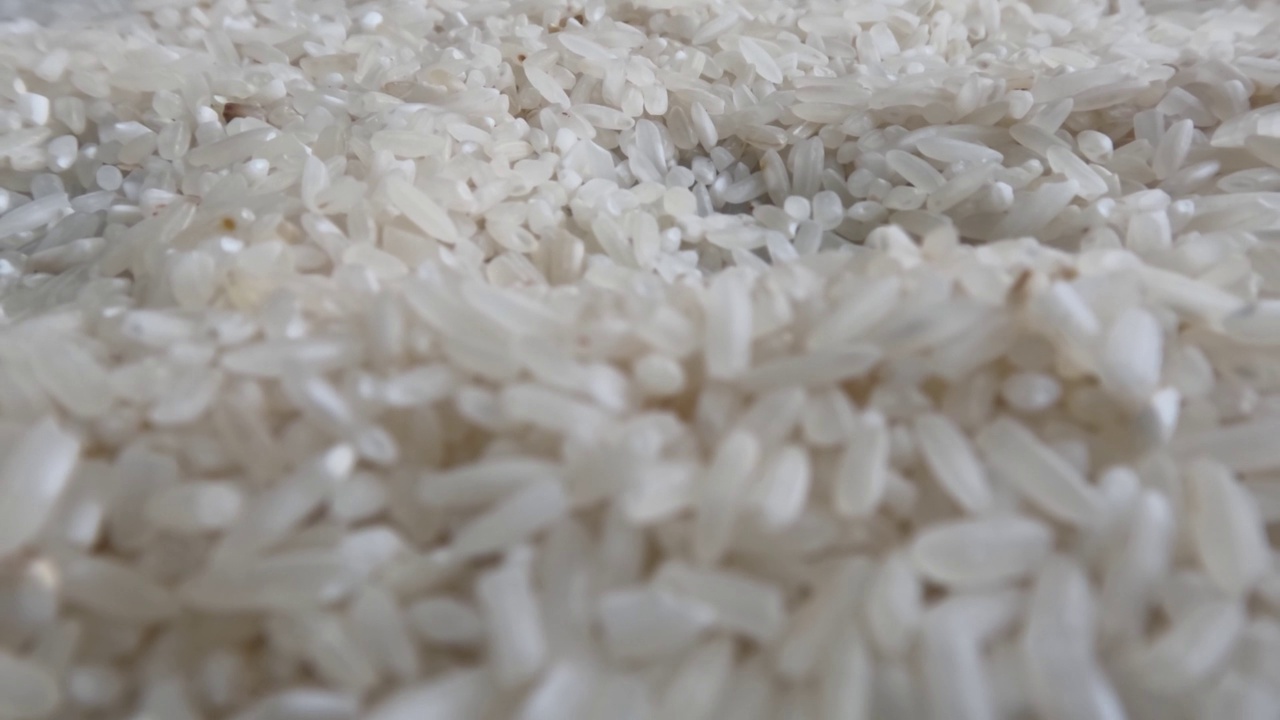 米粒:洗净了壳的米粒，可以煮熟食用视频素材