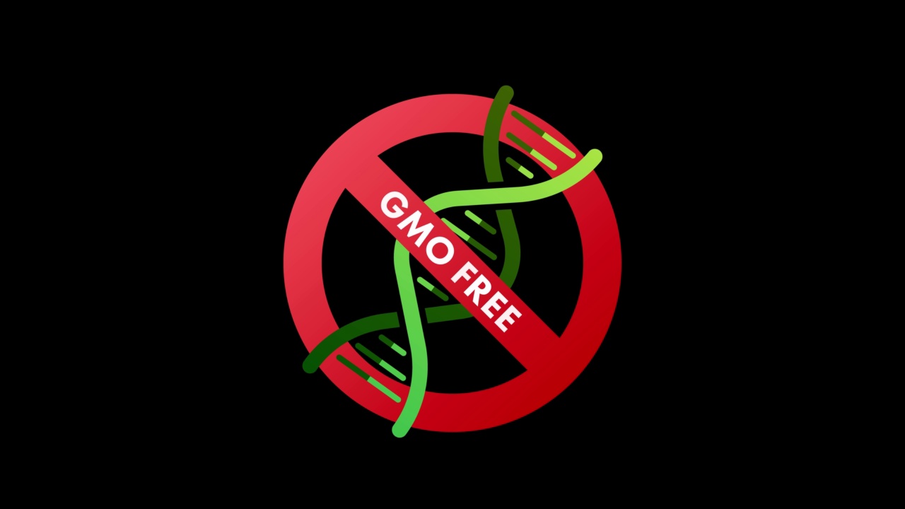 绿色GMO免费徽章，徽标，标志，图标。动画4 k视频下载