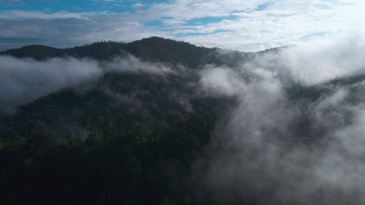 在晨雾缭绕的山间空气中鸟瞰雨林视频素材
