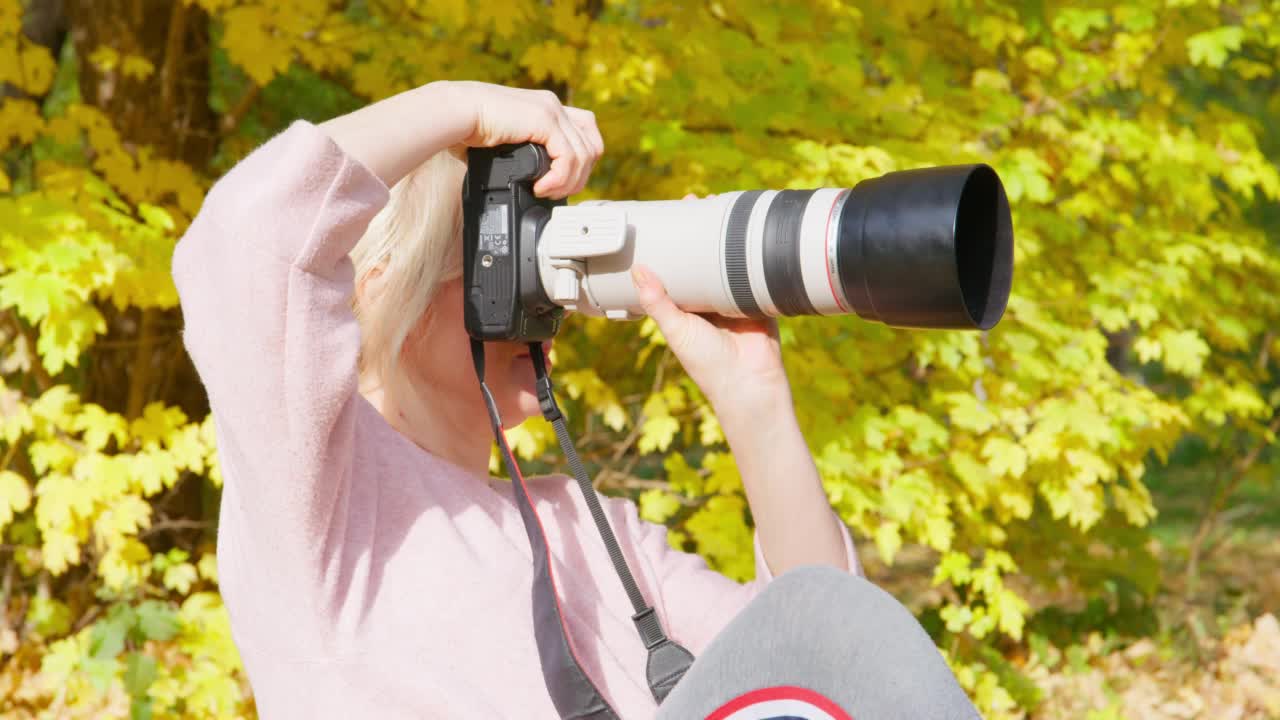 金发女子拍摄风景优美的秋天景色与专业相机坐在树与金黄色的叶子在阳光明媚的公园视频下载