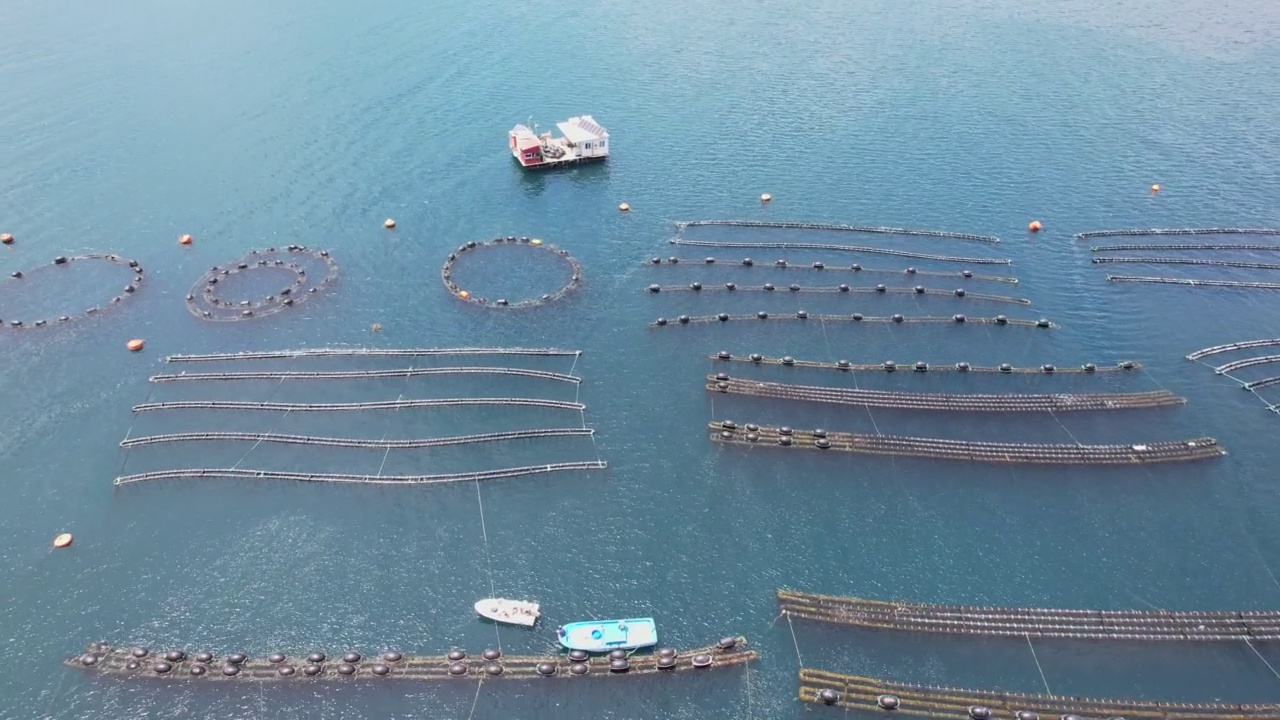 无人机观察海洋中的贻贝和牡蛎养殖场视频素材