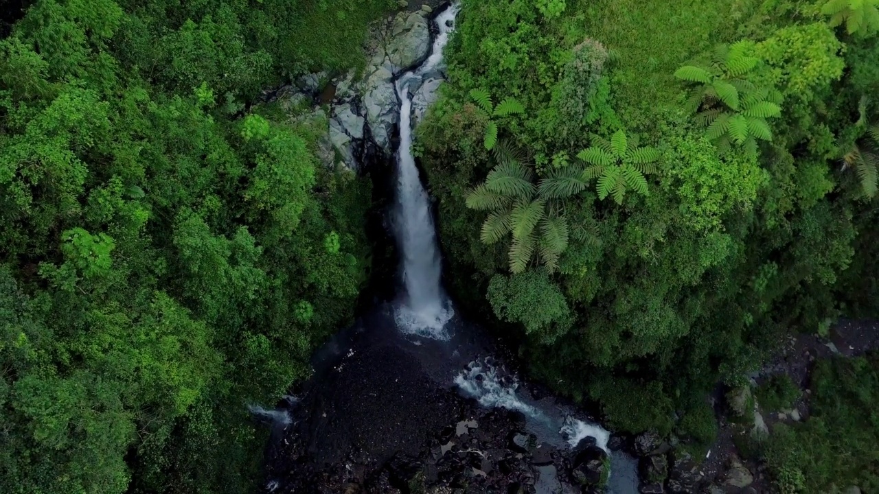 无人机飞越森林中央的自然瀑布的鸟瞰图视频素材