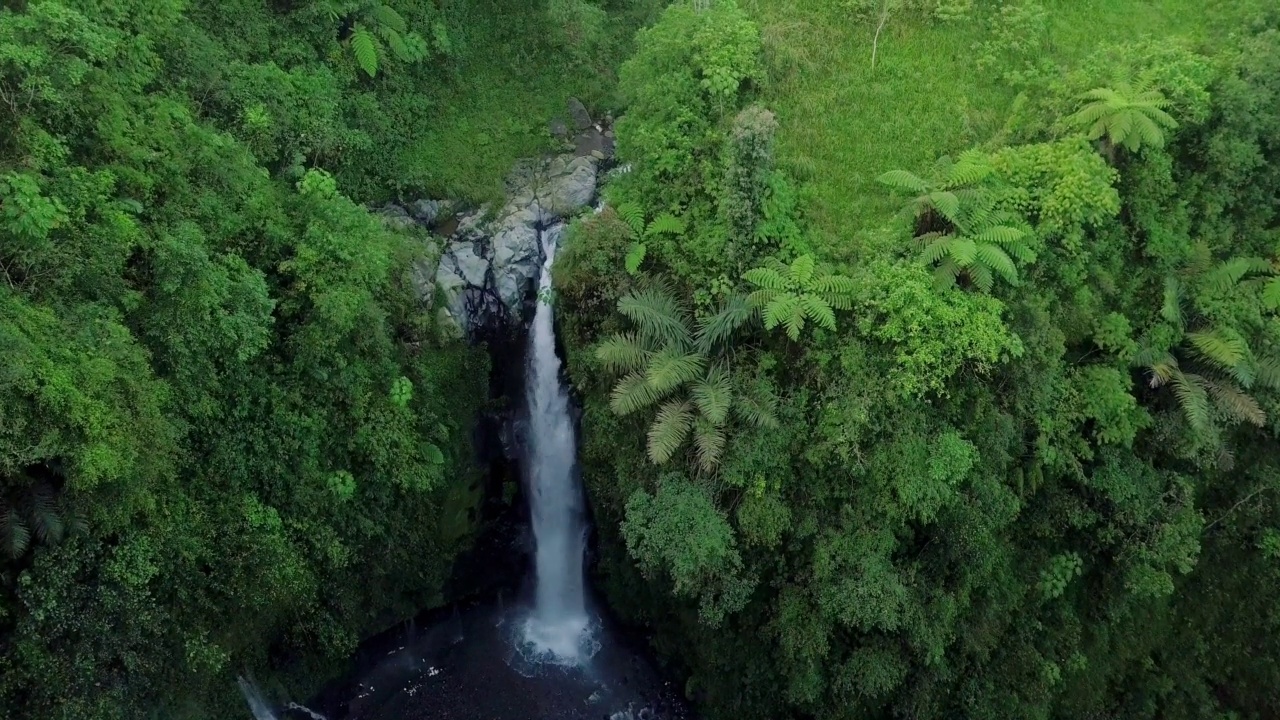 无人机飞越森林中央的自然瀑布的鸟瞰图视频素材