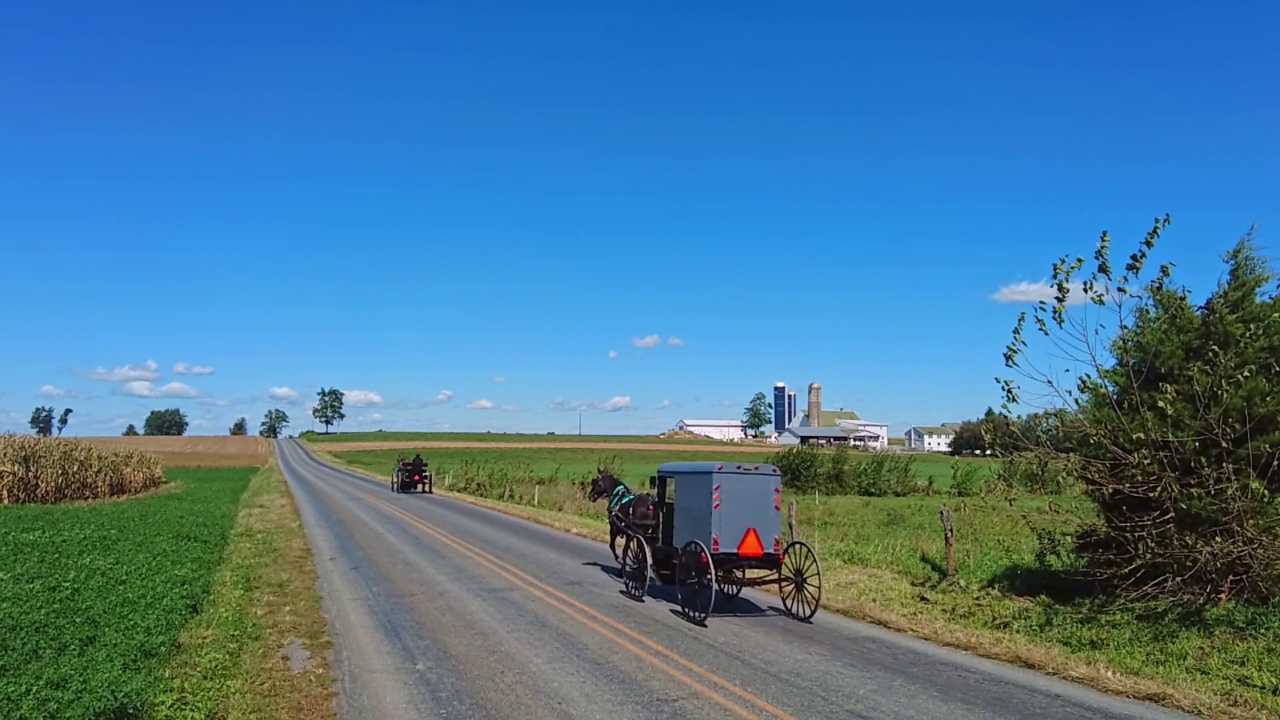阿米什马和四轮马车和开放的四轮马车在一个美丽的阳光明媚的日子里慢动作沿着乡村道路小跑视频素材