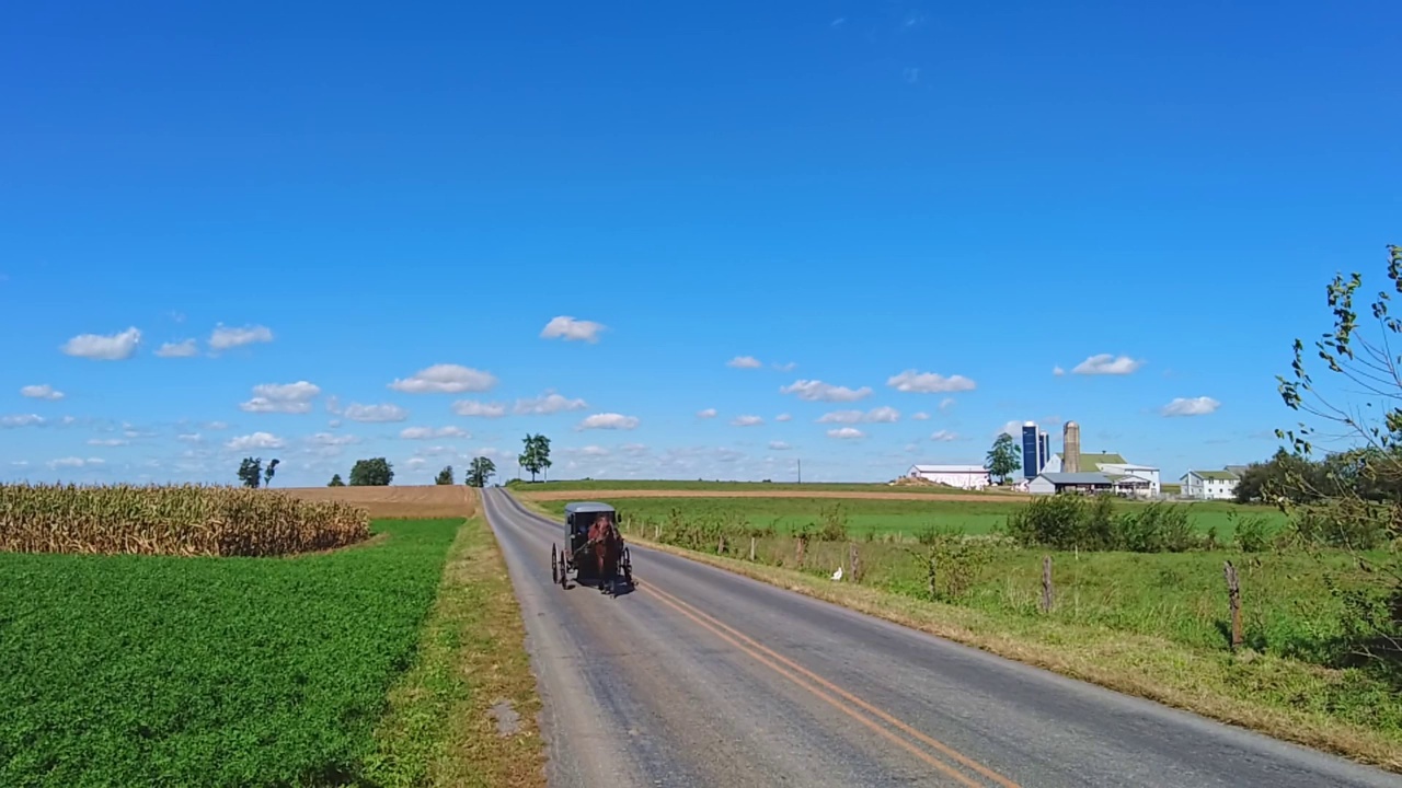 阿米什马和马车在乡村小路上小跑经过农场，在慢动作视频素材