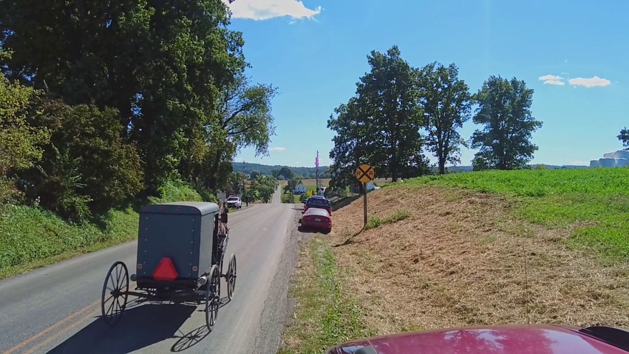 在一个阳光明媚的日子里，阿米什马和马车在乡村小路上小跑经过汽车视频素材