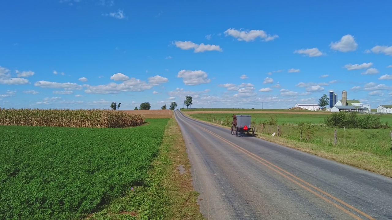 在一个美丽的阳光明媚的日子里，阿米什马和马车在乡村小路上小跑，慢动作视频素材