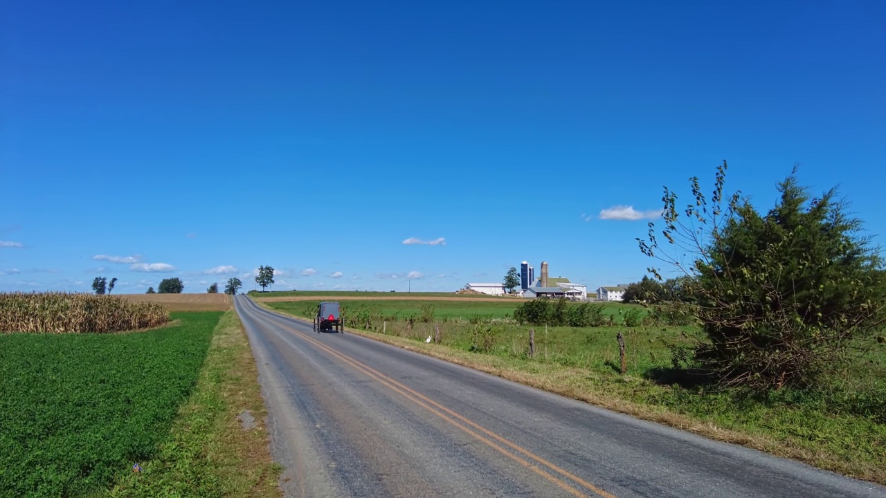 在一个阳光明媚的日子，阿米什马和马车在乡村小路上小跑视频素材