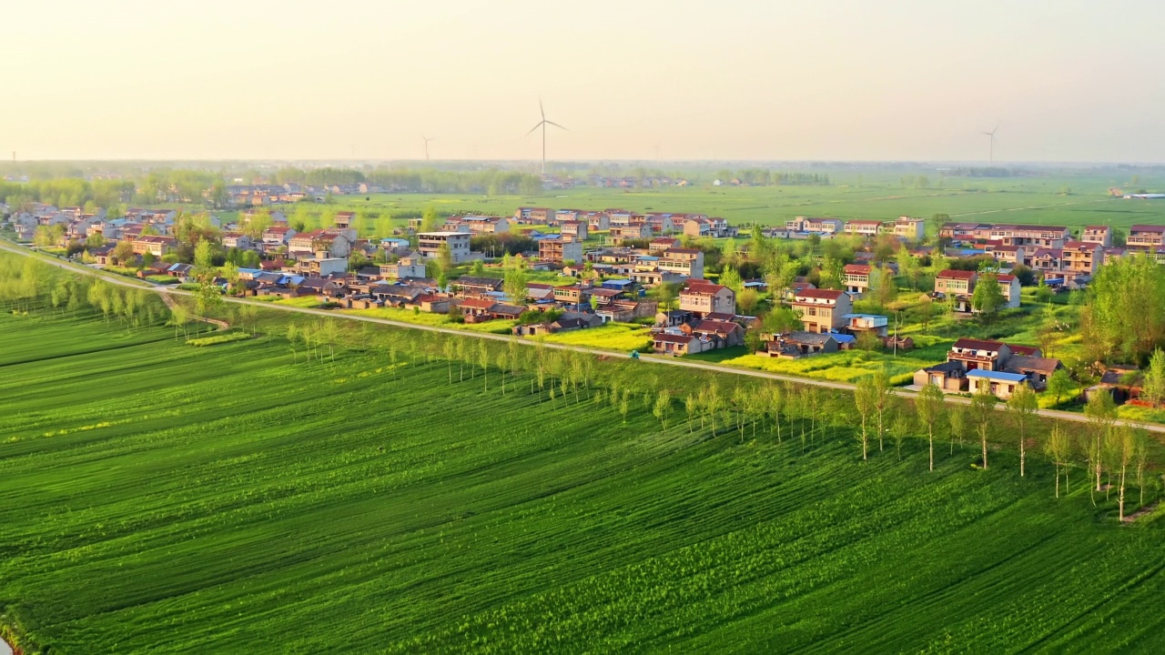 中国绿色麦田和乡村景观的航拍镜头视频素材