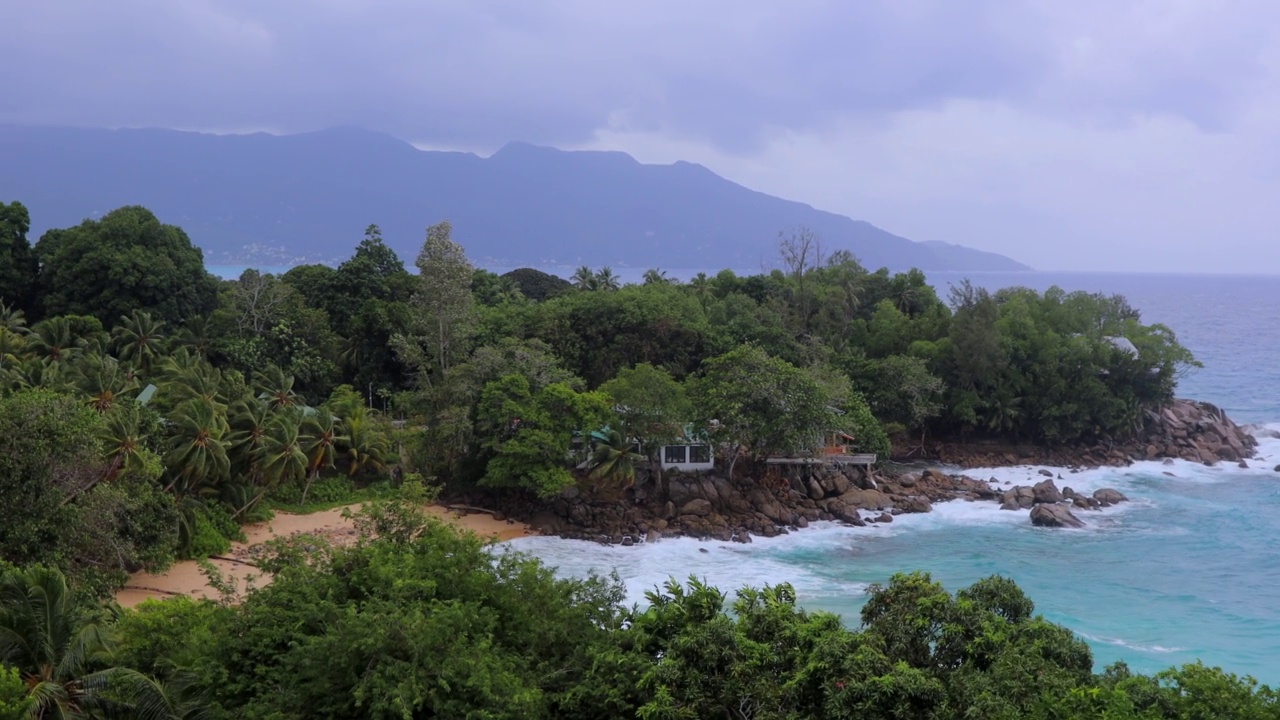 风景海岸与棕榈树和海浪视频素材