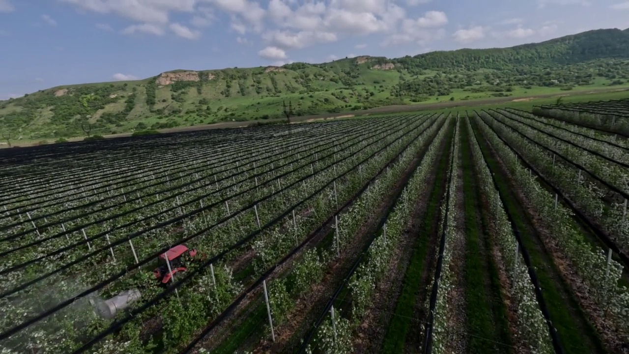 极端射杀苹果树种植农业耕作拖拉机喷洒毒物视频下载