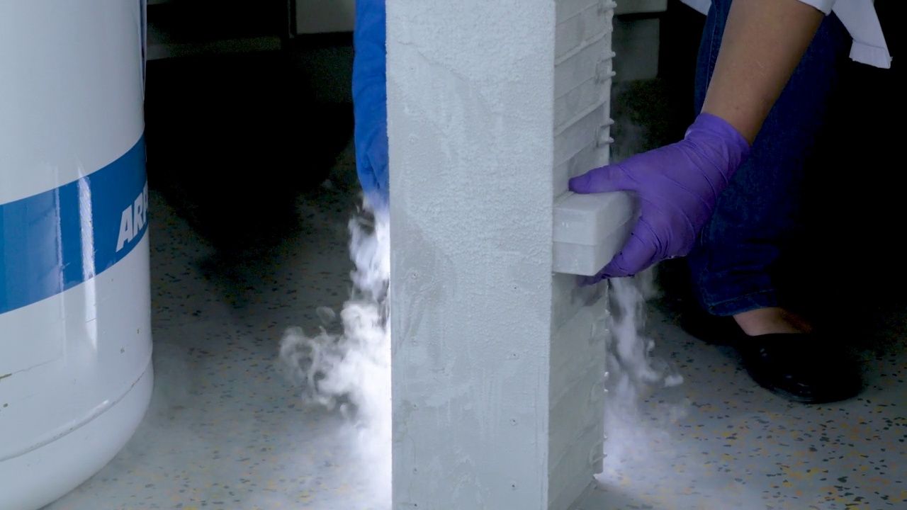 实验室工作人员取出的冷冻储存盒视频素材