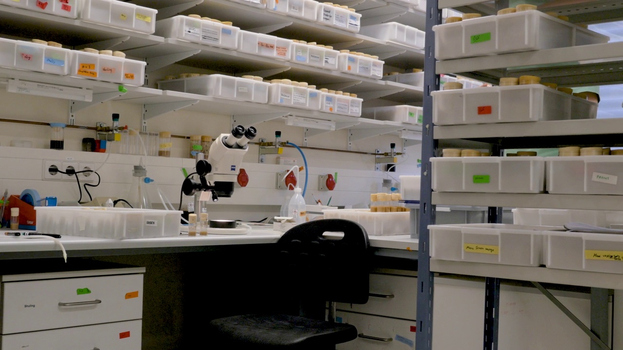 科学实验室有桌子和容器视频素材