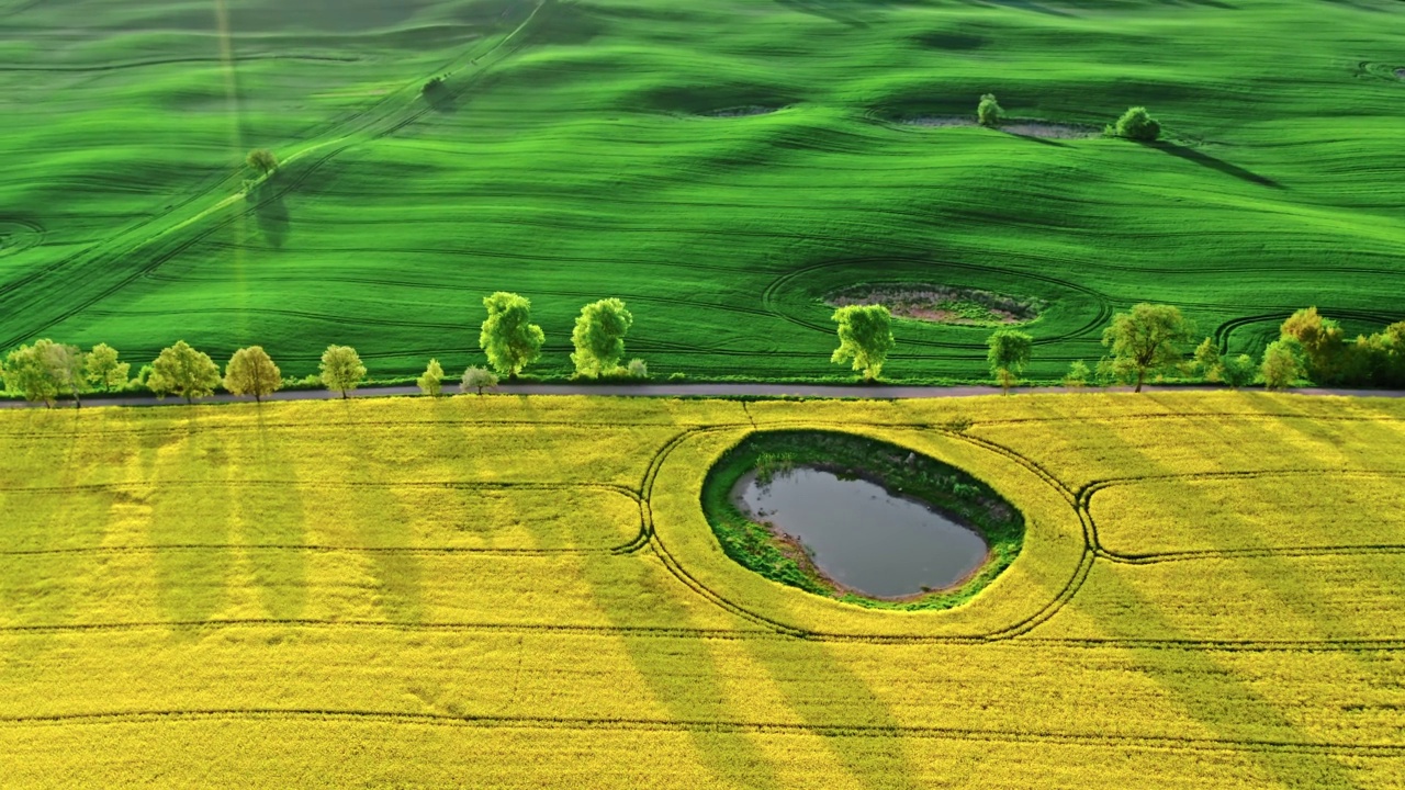 绿色和黄色的田野在乡村。农业的鸟瞰图。视频下载