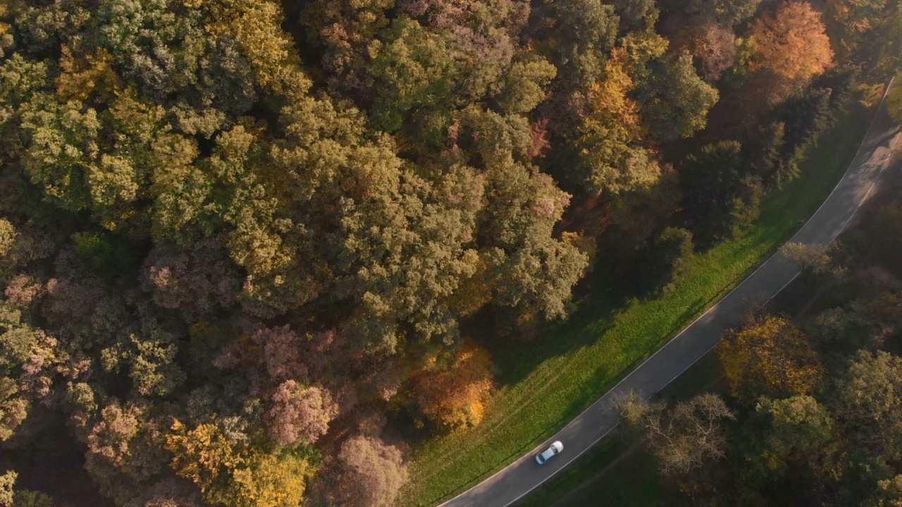 秋天森林中蜿蜒的公路鸟瞰图视频素材