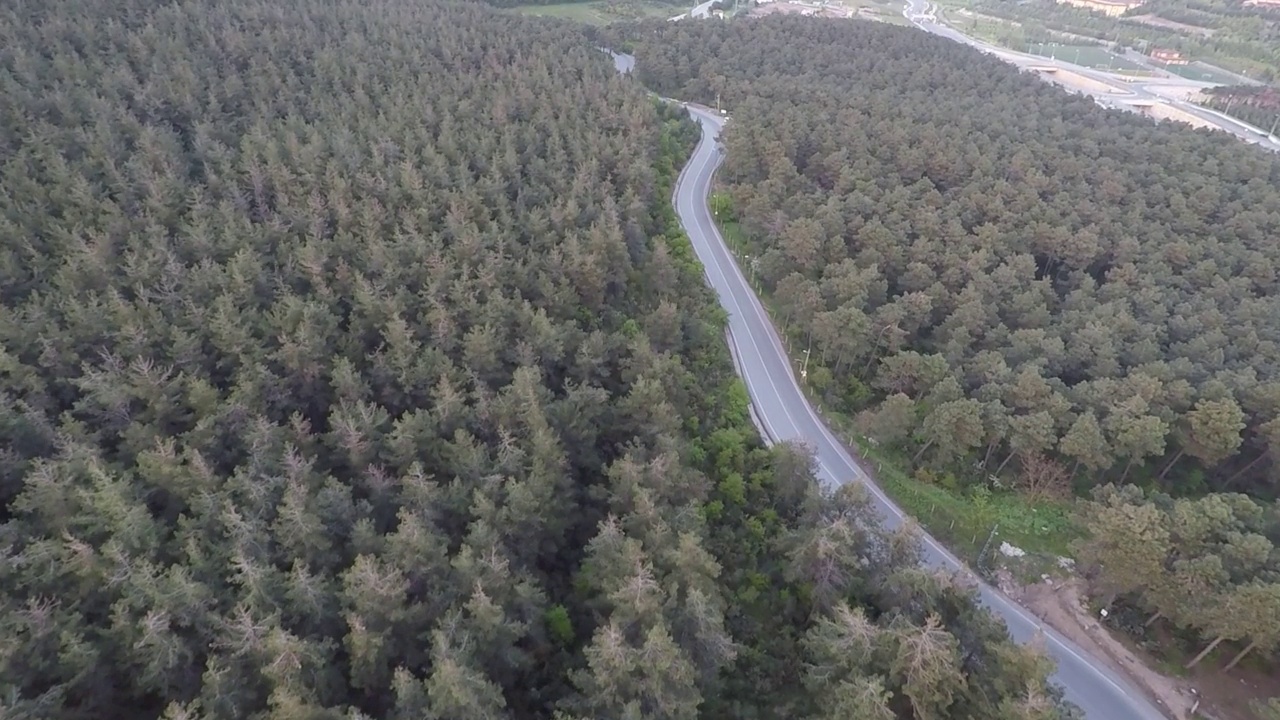 空中森林道路视频素材
